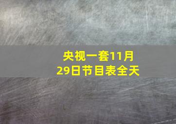 央视一套11月29日节目表全天