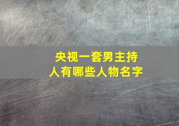 央视一套男主持人有哪些人物名字