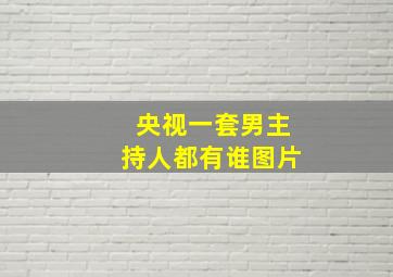 央视一套男主持人都有谁图片