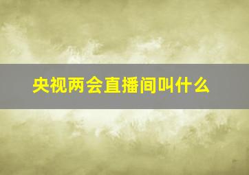 央视两会直播间叫什么