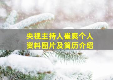 央视主持人崔爽个人资料图片及简历介绍