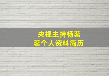 央视主持杨茗茗个人资料简历