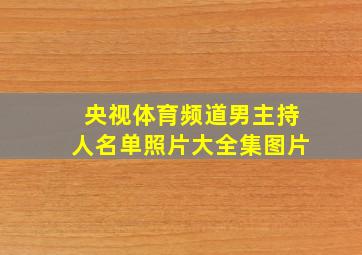 央视体育频道男主持人名单照片大全集图片