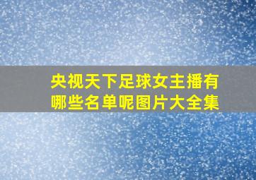 央视天下足球女主播有哪些名单呢图片大全集