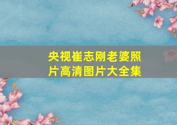 央视崔志刚老婆照片高清图片大全集