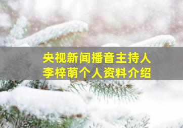 央视新闻播音主持人李梓萌个人资料介绍