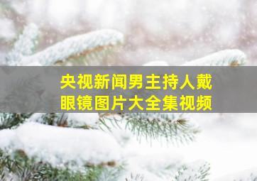 央视新闻男主持人戴眼镜图片大全集视频