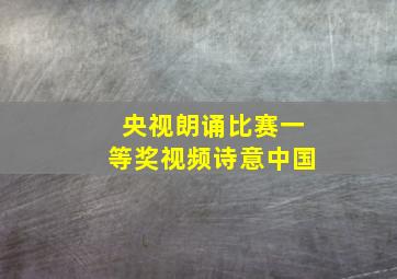 央视朗诵比赛一等奖视频诗意中国