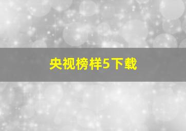 央视榜样5下载