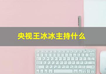 央视王冰冰主持什么