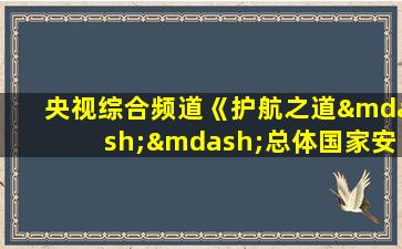 央视综合频道《护航之道——总体国家安全观纵横》视频