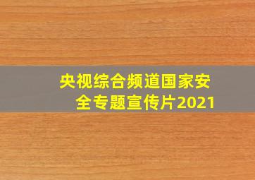 央视综合频道国家安全专题宣传片2021