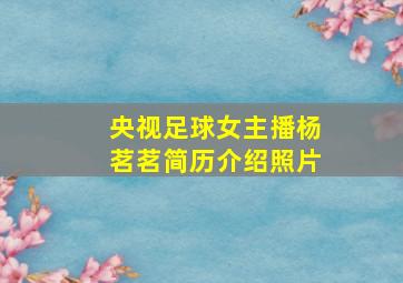 央视足球女主播杨茗茗简历介绍照片