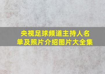 央视足球频道主持人名单及照片介绍图片大全集