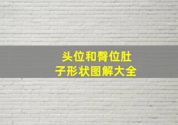 头位和臀位肚子形状图解大全