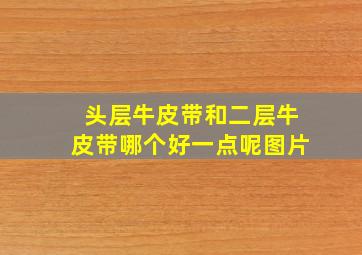 头层牛皮带和二层牛皮带哪个好一点呢图片