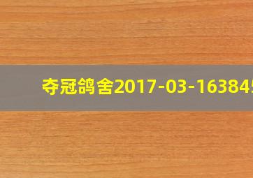 夺冠鸽舍2017-03-1638452