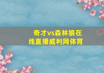 奇才vs森林狼在线直播威利网体育