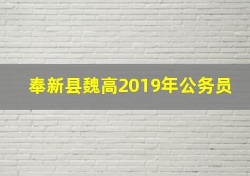 奉新县魏高2019年公务员