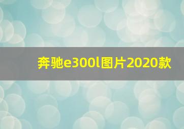 奔驰e300l图片2020款