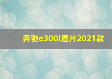 奔驰e300l图片2021款