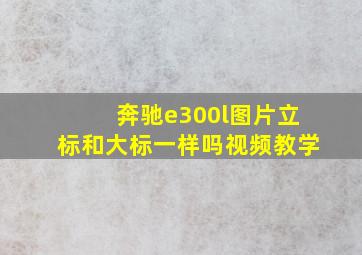 奔驰e300l图片立标和大标一样吗视频教学