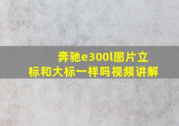 奔驰e300l图片立标和大标一样吗视频讲解