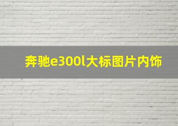 奔驰e300l大标图片内饰