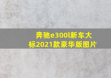 奔驰e300l新车大标2021款豪华版图片