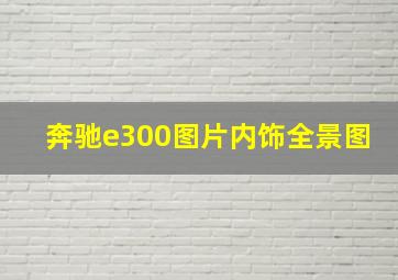 奔驰e300图片内饰全景图