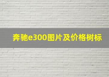 奔驰e300图片及价格树标