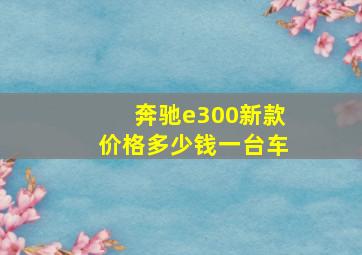 奔驰e300新款价格多少钱一台车