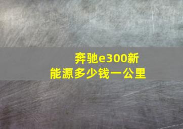 奔驰e300新能源多少钱一公里