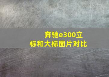 奔驰e300立标和大标图片对比