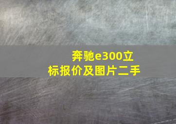 奔驰e300立标报价及图片二手