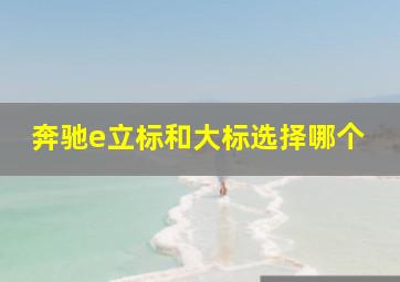 奔驰e立标和大标选择哪个