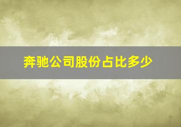 奔驰公司股份占比多少