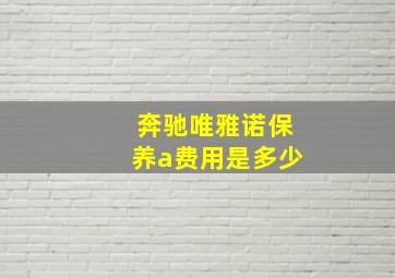 奔驰唯雅诺保养a费用是多少