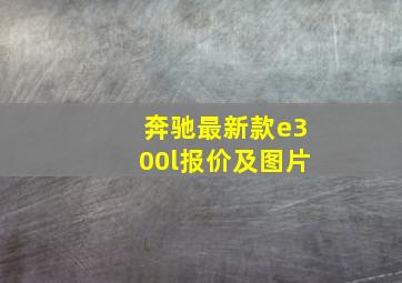 奔驰最新款e300l报价及图片