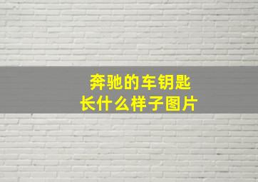 奔驰的车钥匙长什么样子图片