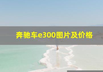 奔驰车e300图片及价格