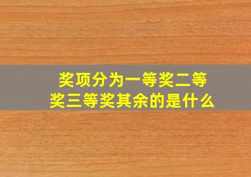 奖项分为一等奖二等奖三等奖其余的是什么