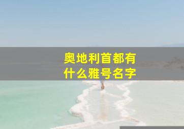 奥地利首都有什么雅号名字