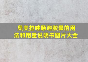 奥美拉唑肠溶胶囊的用法和用量说明书图片大全