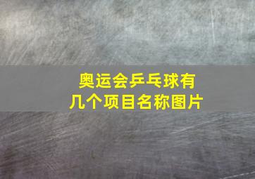 奥运会乒乓球有几个项目名称图片