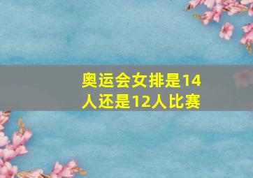 奥运会女排是14人还是12人比赛