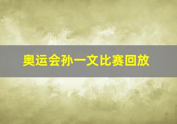 奥运会孙一文比赛回放