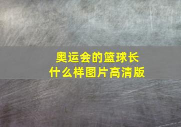 奥运会的篮球长什么样图片高清版