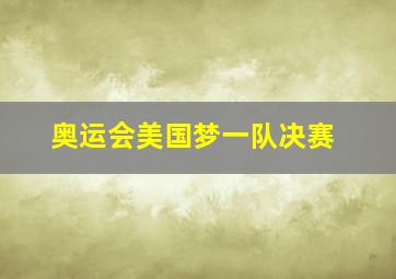 奥运会美国梦一队决赛