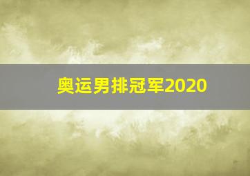 奥运男排冠军2020